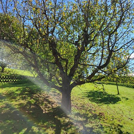 Ferienhaus Zangl Am Seggauberg - Suedsteiermark Лайбниц Екстериор снимка